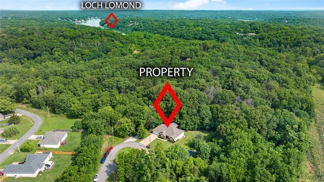 16 Olmsted Ln, Bella Vista, AR 72715 - aerial overview of property's location with a forest