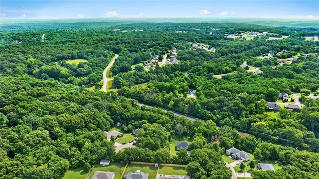 16 Olmsted Ln, Bella Vista, AR 72715 - bird's eye view of a heavily wooded area