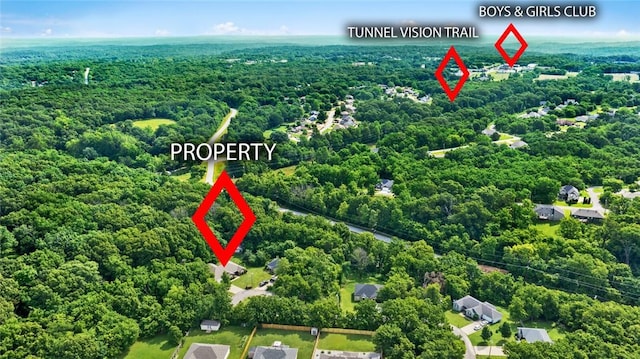 16 Olmsted Ln, Bella Vista, AR 72715 - aerial view of property's location featuring a forest