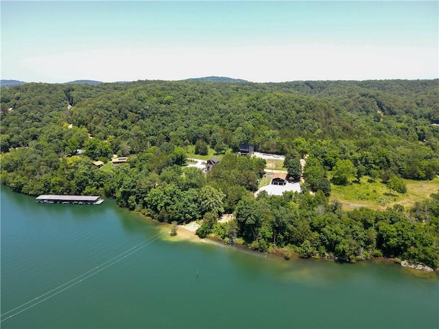 2580 County Road 148, Eureka Springs, AR 72632 - photo 39