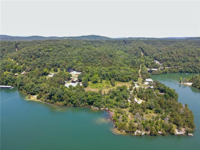 2580 County Road 148, Eureka Springs, AR 72632 - photo 40