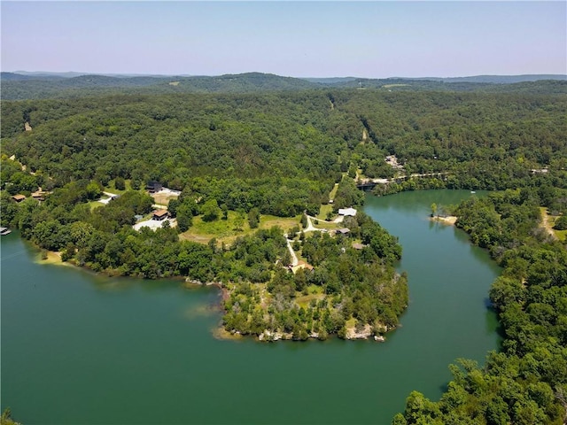 2580 County Road 148, Eureka Springs, AR 72632 - photo 41