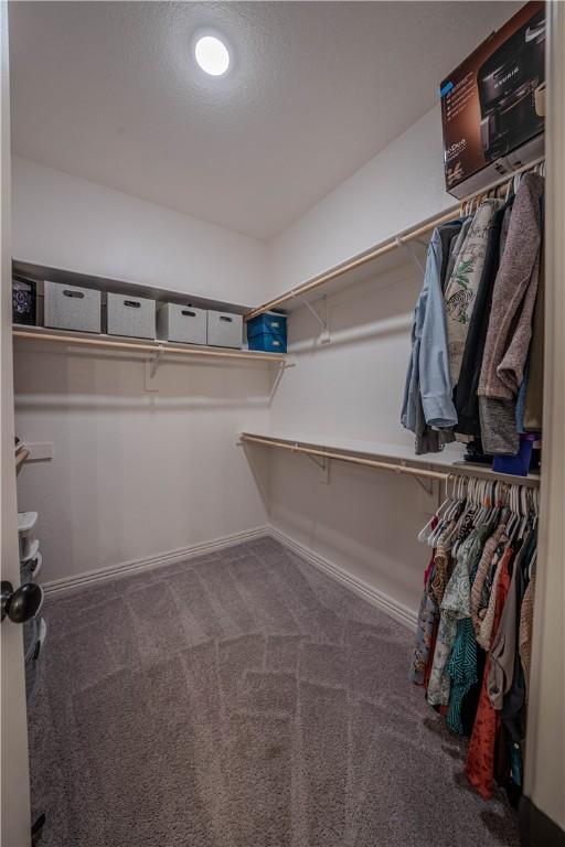 1312 Park St, Lowell, AR 72745 - spacious closet with carpet