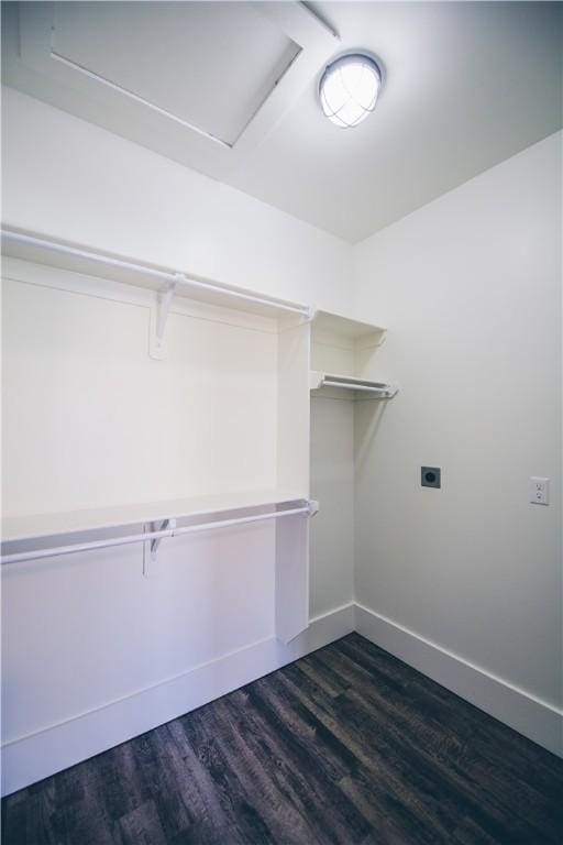 218 E S St, Fayetteville, AR 72701 - spacious closet featuring dark wood-style floors