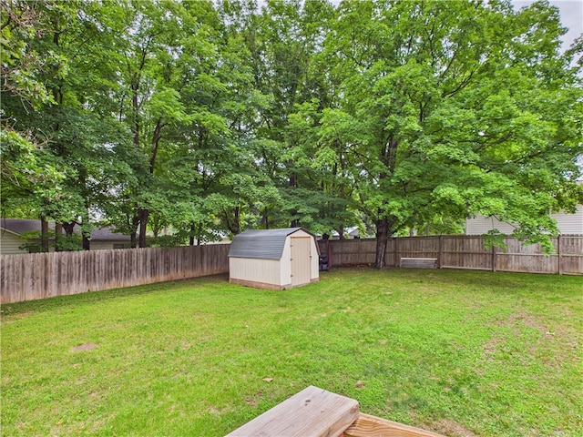 104 Paradise Cove Ln, Berryville, AR 72616 - fenced backyard with a shed