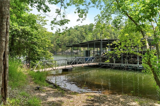 8252 Hickory Tree Ln, Rogers, AR 72756 - dock with a water view and a wooded view