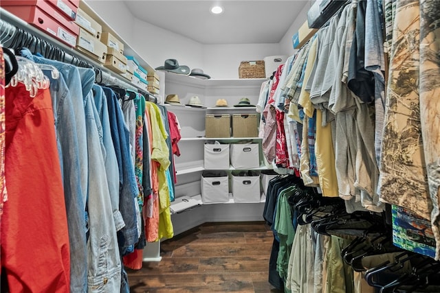 8252 Hickory Tree Ln, Rogers, AR 72756 - walk in closet featuring wood finished floors
