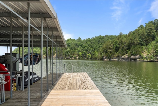 8252 Hickory Tree Ln, Rogers, AR 72756 - dock area with a water view and boat lift