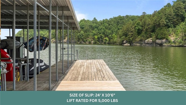 8252 Hickory Tree Ln, Rogers, AR 72756 - dock featuring a water view and a view of trees