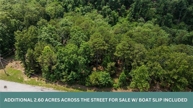 8252 Hickory Tree Ln, Rogers, AR 72756 - drone / aerial view of a forest