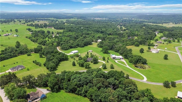 20821 River Ridge Drive, Siloam Springs, AR 72761 - photo 51