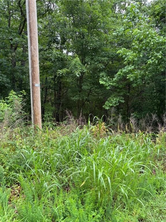 Wickham Ln, Bella Vista, AR 72714