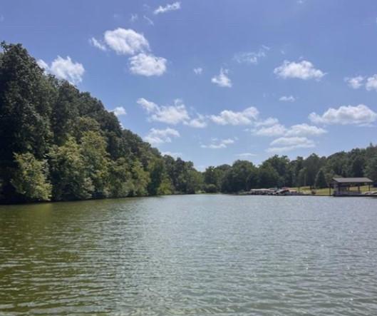LOT91 Maltby Ln, Bella Vista, AR 72715 - photo 8
