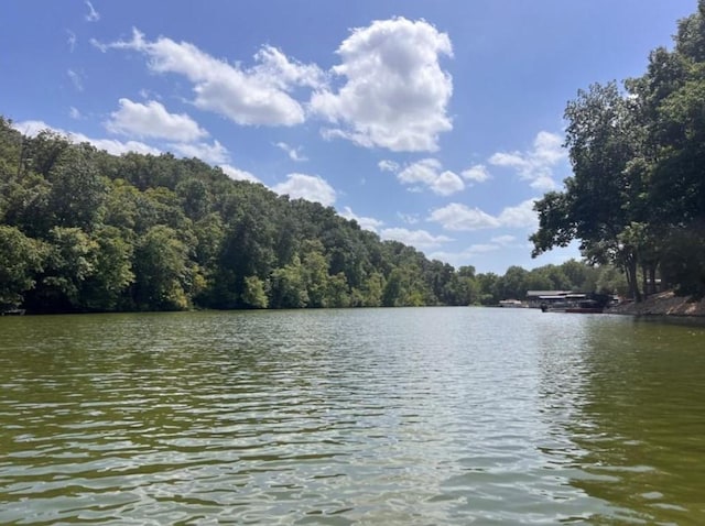 LOT91 Maltby Ln, Bella Vista, AR 72715 - photo 9