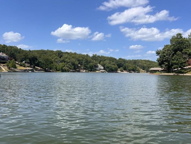 LOT91 Maltby Ln, Bella Vista, AR 72715 - photo 11