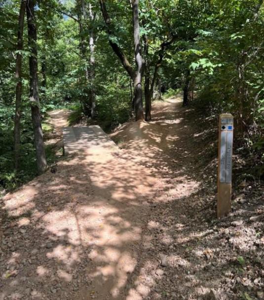 LOT91 Maltby Ln, Bella Vista, AR 72715 - photo 18