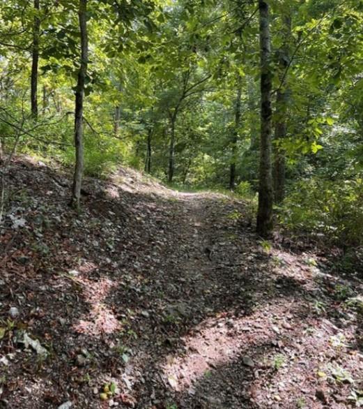 LOT91 Maltby Ln, Bella Vista, AR 72715 - photo 20