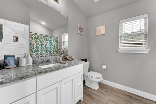 328 N Otoe St, Farmington, AR 72730 - full bathroom featuring vaulted ceiling, vanity, wood finished floors, and a shower with curtain