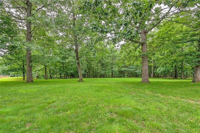8553 Stoner Ln, Rogers, AR 72756 - view of grassy yard with a wooded view