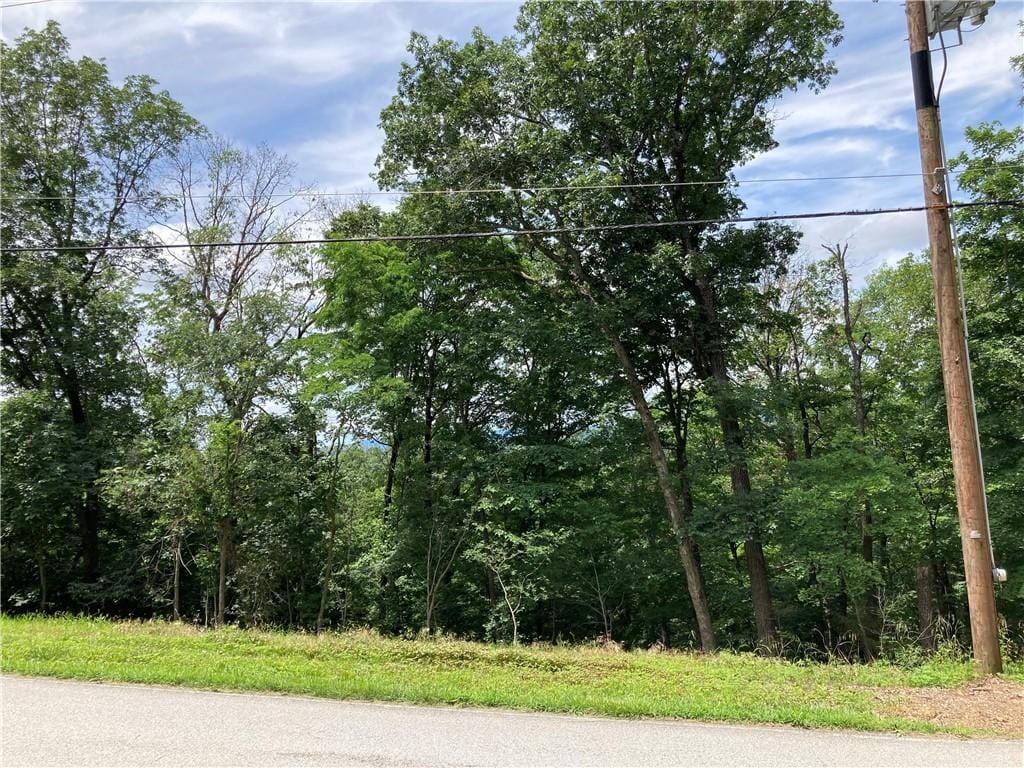 259 Holiday Island Dr, Holiday Island, AR 72631