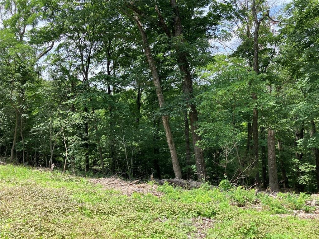 259 Holiday Island Dr, Holiday Island, AR 72631