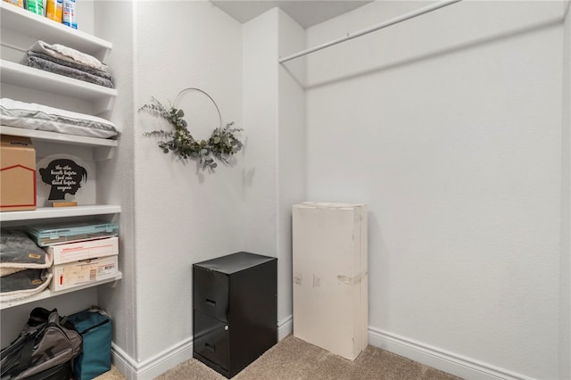 501 SE Fullerton St, Bentonville, AR 72712 - walk in closet with carpet floors