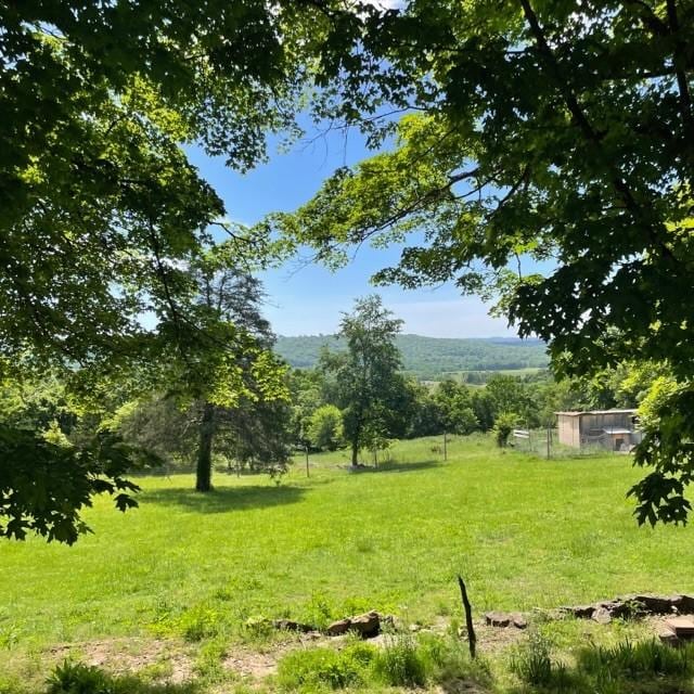 4841 Business Highway 412, Huntsville, AR 72740 - view of grassy yard