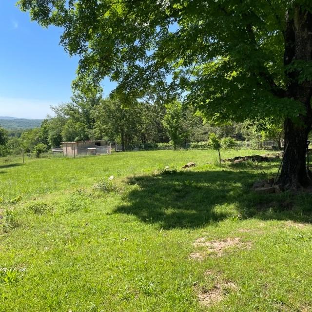 4841 Business Highway 412, Huntsville, AR 72740 - view of grassy yard