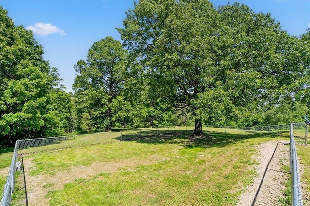 132 N Nature Trl Ln, Noel, MO 64854 - view of yard