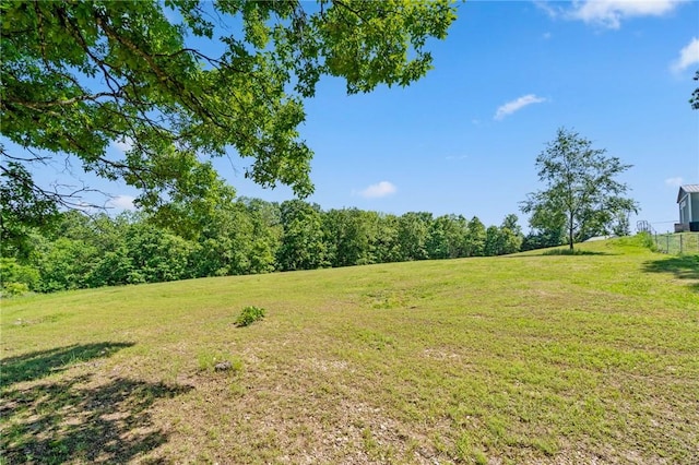132 N Nature Trl Ln, Noel, MO 64854 - view of green lawn