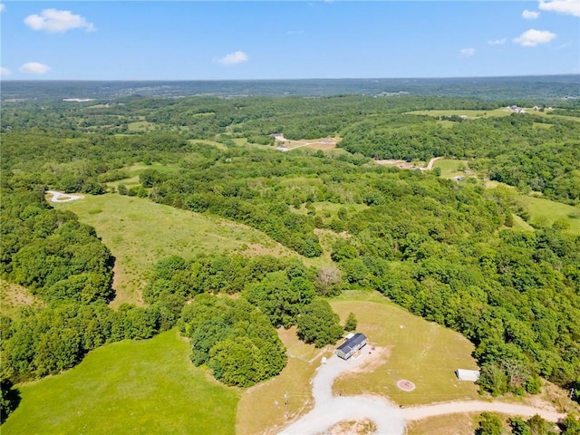 132 N Nature Trl Ln, Noel, MO 64854 - bird's eye view of a forest