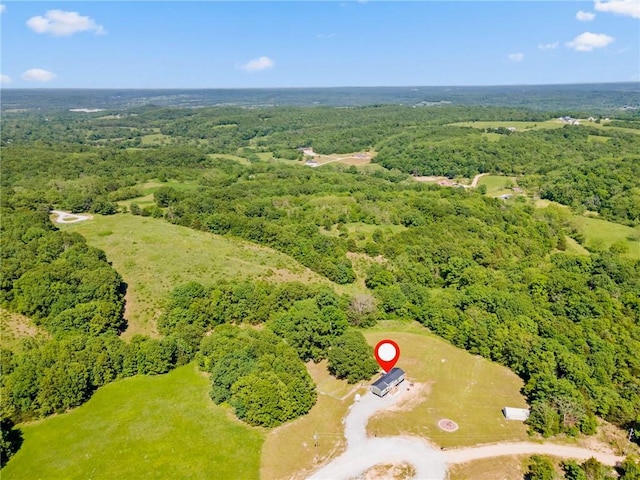 132 N Nature Trl Ln, Noel, MO 64854 - drone / aerial view of a forest