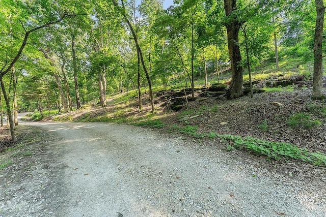 LOT3 Wedgewood Dr, Garfield, AR 72732