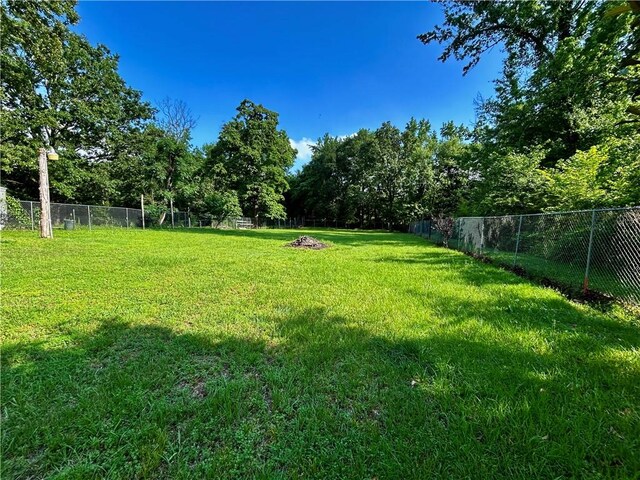 1368 Main St, Clarksville, AR 72830 - photo 14
