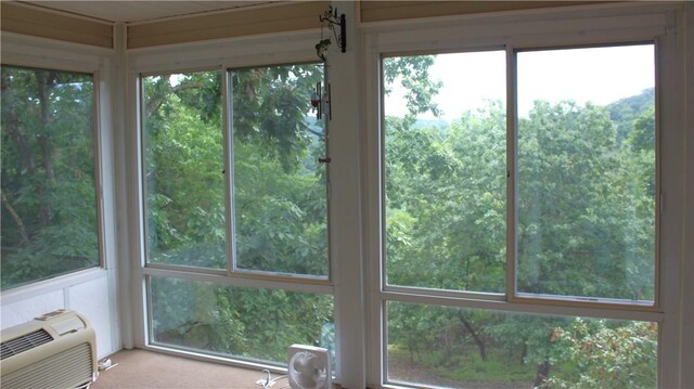 32 Table Rock Dr, Holiday Island, AR 72631 - detailed view of a wall mounted AC