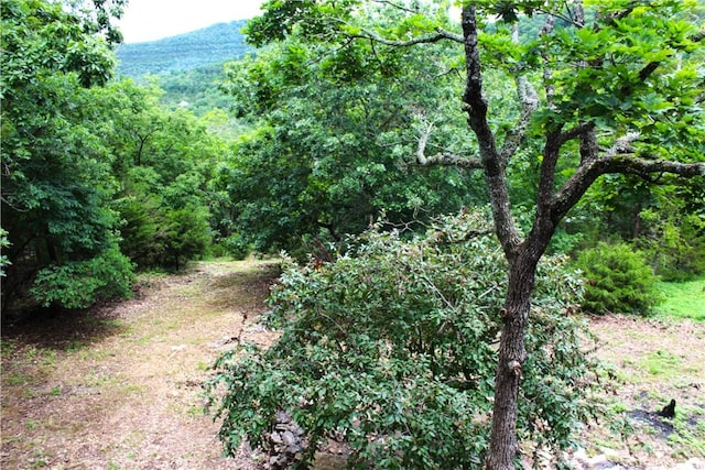 32 Table Rock Dr, Holiday Island, AR 72631 - view of woods