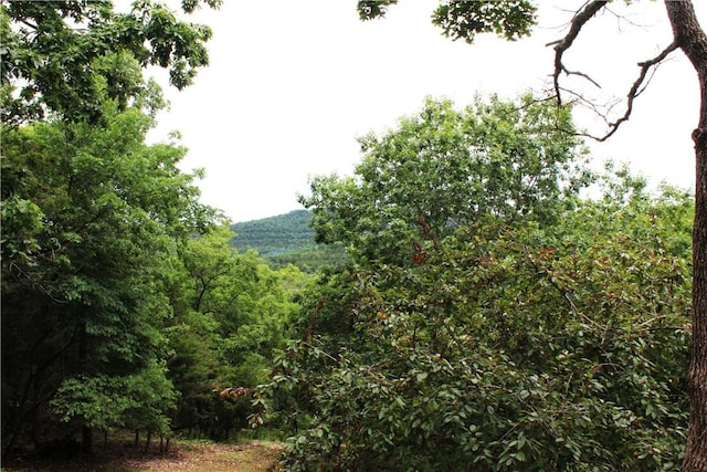 32 Table Rock Dr, Holiday Island, AR 72631 - view of tree filled area