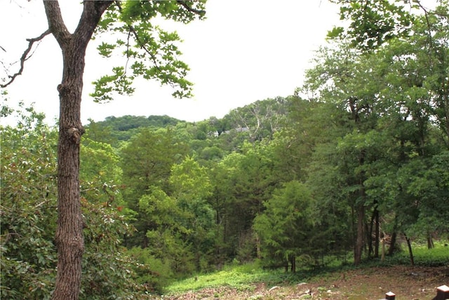 32 Table Rock Dr, Holiday Island, AR 72631 - view of tree filled area