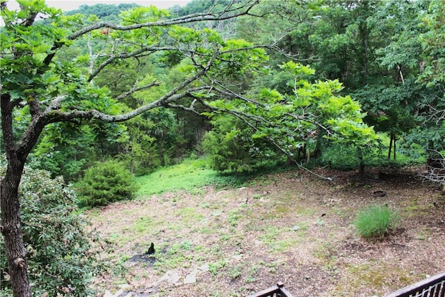32 Table Rock Dr, Holiday Island, AR 72631 - view of wooded area