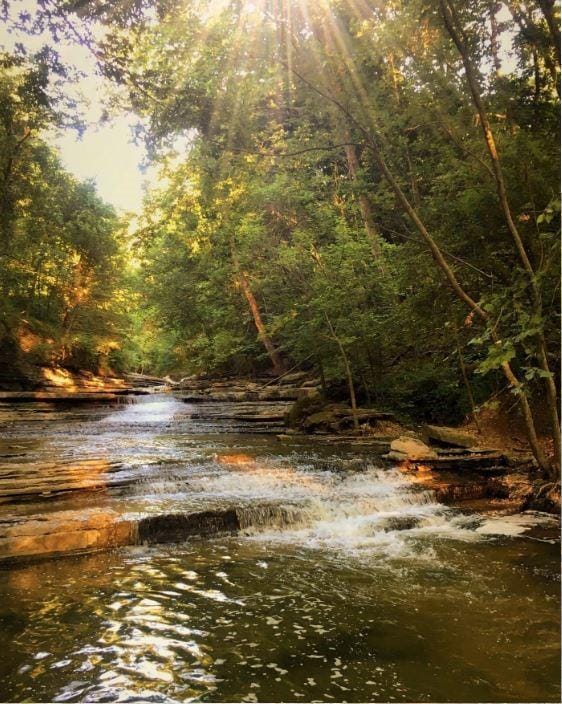 904 S Lafayette St, Rogers, AR 72758 - water view featuring a heavily wooded area