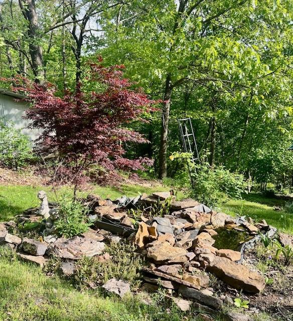 14163 Low Gap Wc 100 Rd, West Fork, AR 72774 - view of yard