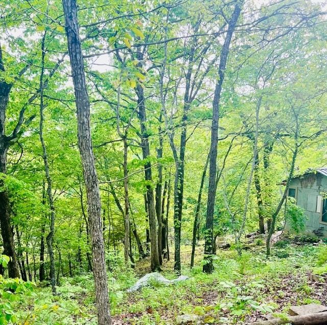 14163 Low Gap Wc 100 Rd, West Fork, AR 72774 - view of woods
