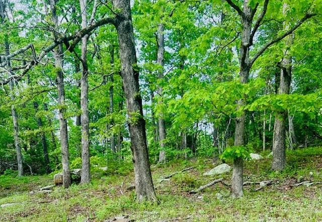 14163 Low Gap Wc 100 Rd, West Fork, AR 72774 - view of nature