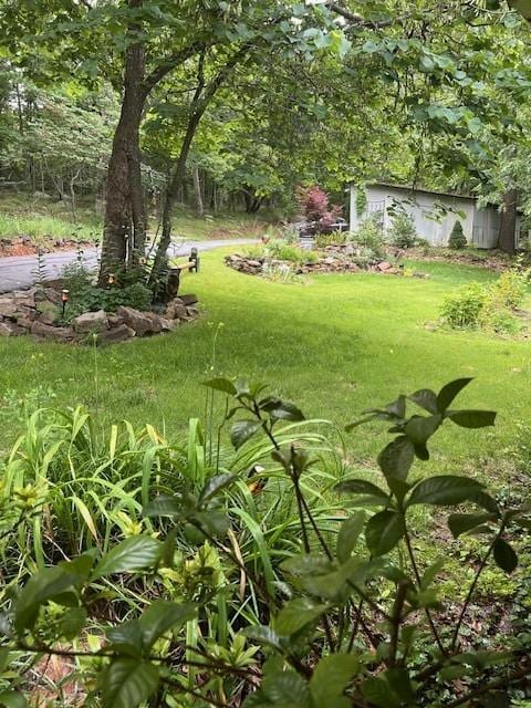 14163 Low Gap Wc 100 Rd, West Fork, AR 72774 - view of green lawn