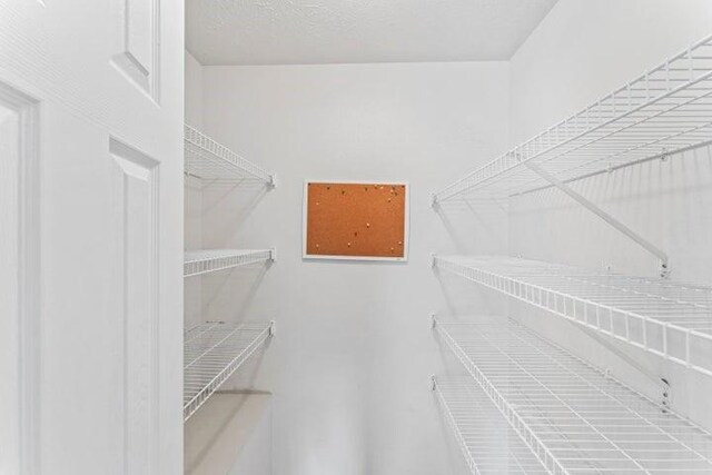150 Cedar Wood Ave, Branson, MO 65616 - view of spacious closet