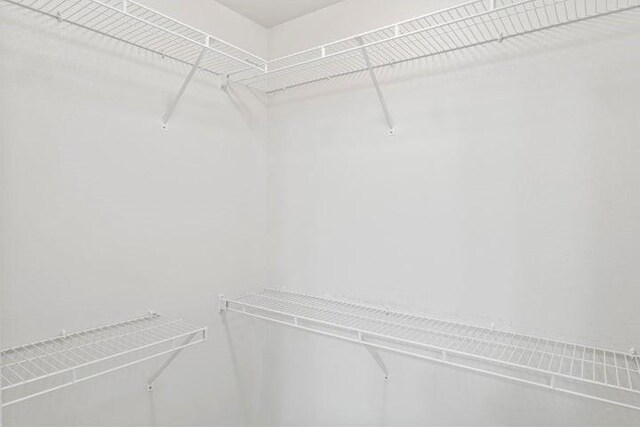 150 Cedar Wood Ave, Branson, MO 65616 - view of spacious closet