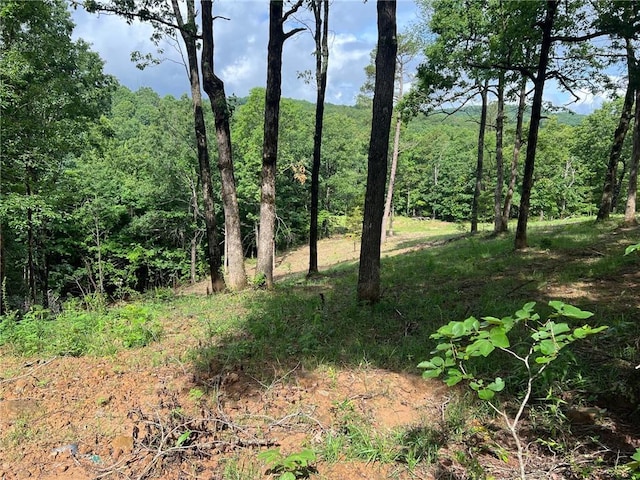0000 NC-8735, Jasper, AR 72641 - photo 3