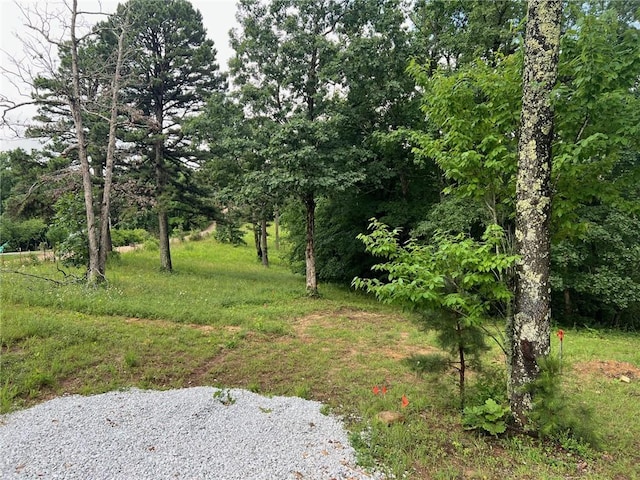 0000 NC-8735, Jasper, AR 72641
