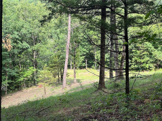 0000 NC-8735, Jasper, AR 72641