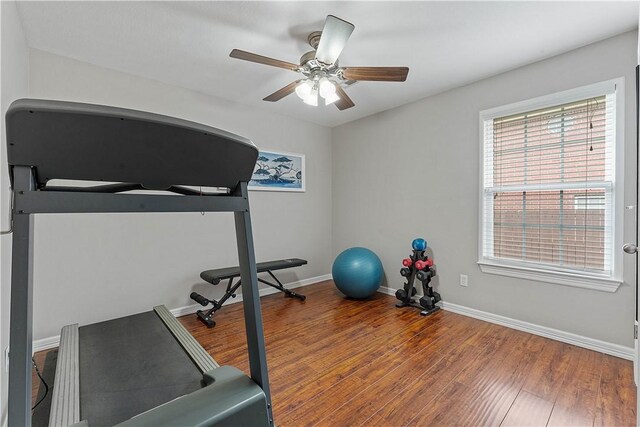 741 Golden Meadow Ave, Springdale, AR 72764 - photo 24